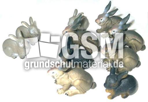 Hasen2+8.jpg